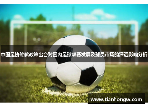 中国足协降薪政策出台对国内足球联赛发展及球员市场的深远影响分析