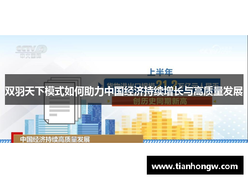双羽天下模式如何助力中国经济持续增长与高质量发展