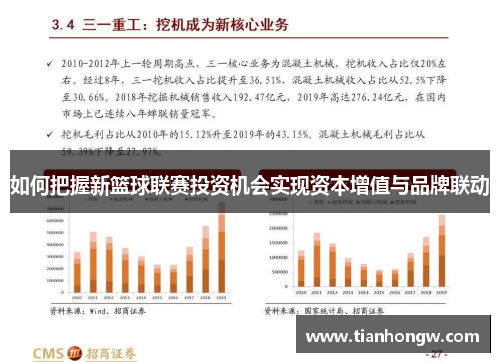 如何把握新篮球联赛投资机会实现资本增值与品牌联动