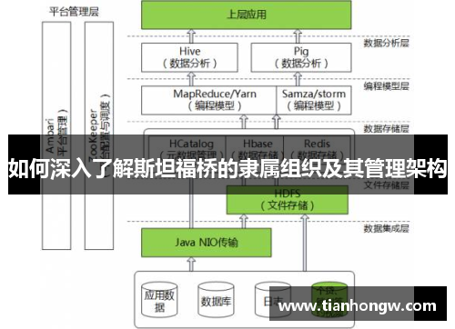如何深入了解斯坦福桥的隶属组织及其管理架构
