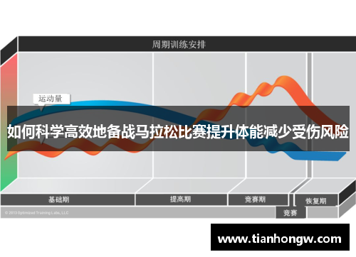 如何科学高效地备战马拉松比赛提升体能减少受伤风险